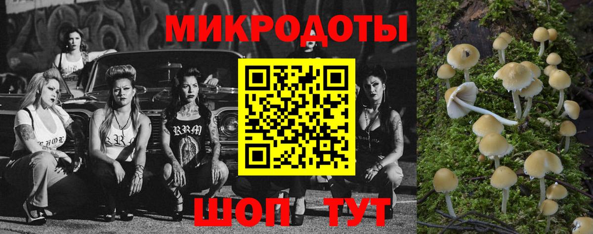 Галлюциногенные грибы GOLDEN TEACHER Жуковский