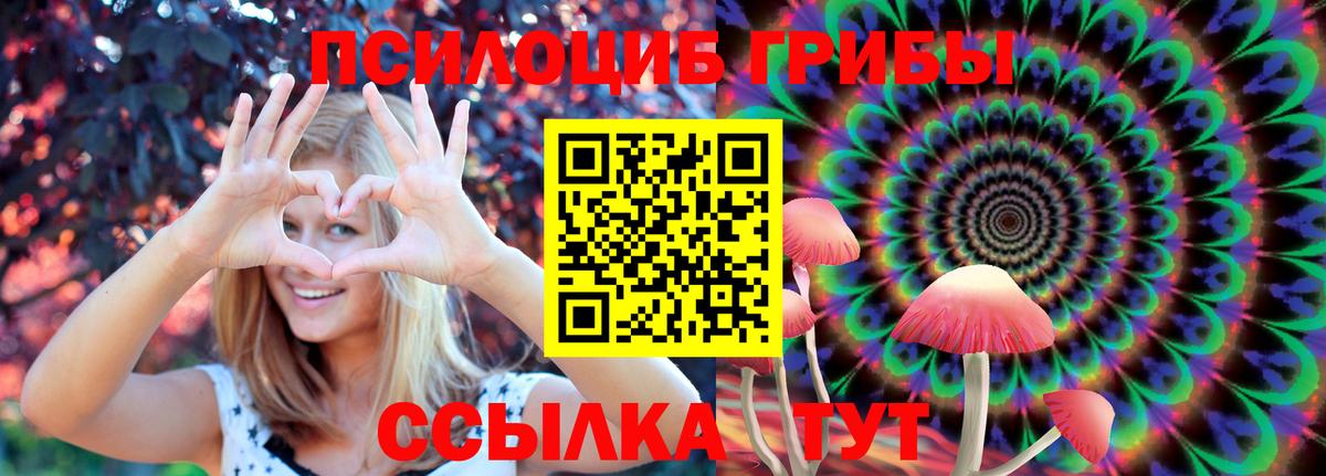Псилоцибиновые грибы Magic Shrooms  закладки  Жуковский  Вход с VPN 